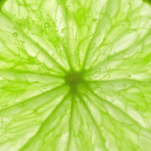 fruchtsaft-konzentrat